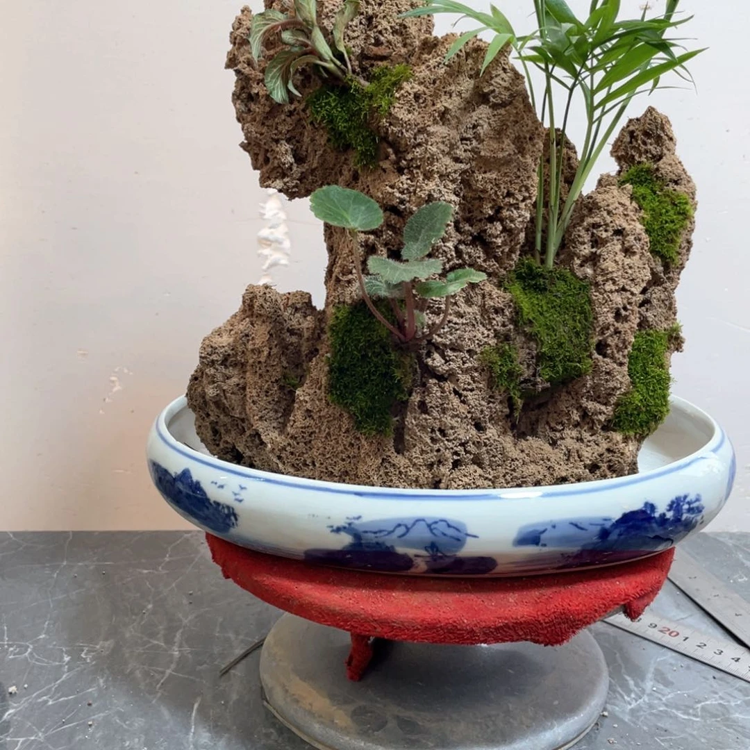 过**来上水石盆景一物一拍