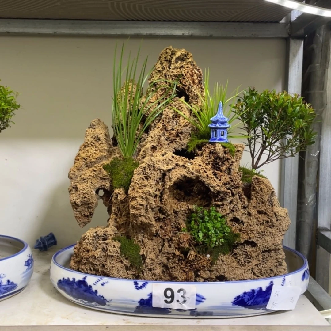 【闪购商品】红陶171cm(含)-200cm(含)二*
