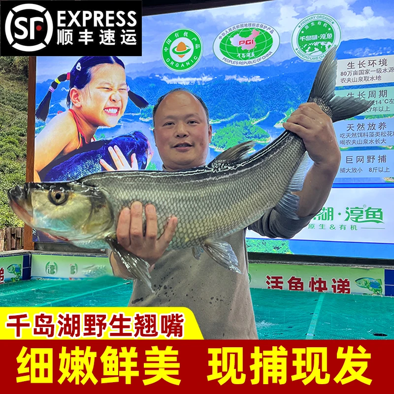 千岛湖野生翘嘴白条杀好真空锁鲜发货3斤起鲜美自然优质美味好吃