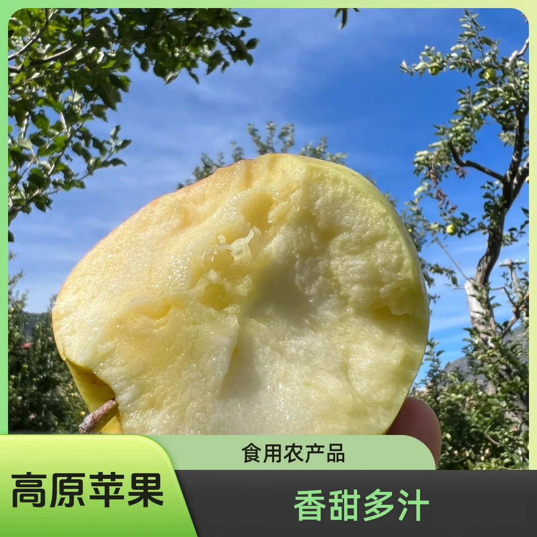 【云巅秘藏】高原小金冠苹果礼盒  酸甜可口 皮都好吃的藏地青苹果