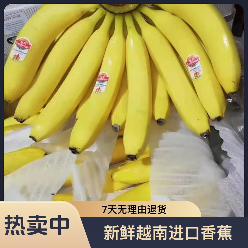 （小林甄选）·老挝进口香蕉·软糯香甜，袋装