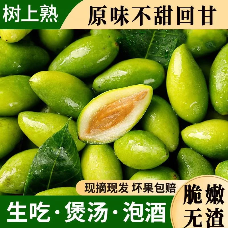 潮汕原味橄榄青枣脆二号潮汕橄榄果青果生吃腌制泡酒榨汁孕妇水果
