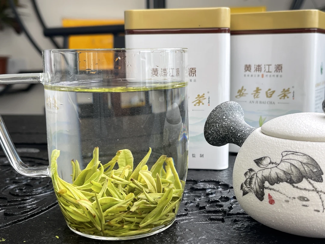溪龙清影【竹影】2024安吉白茶原产地采摘溪龙清影茶场品质好茶