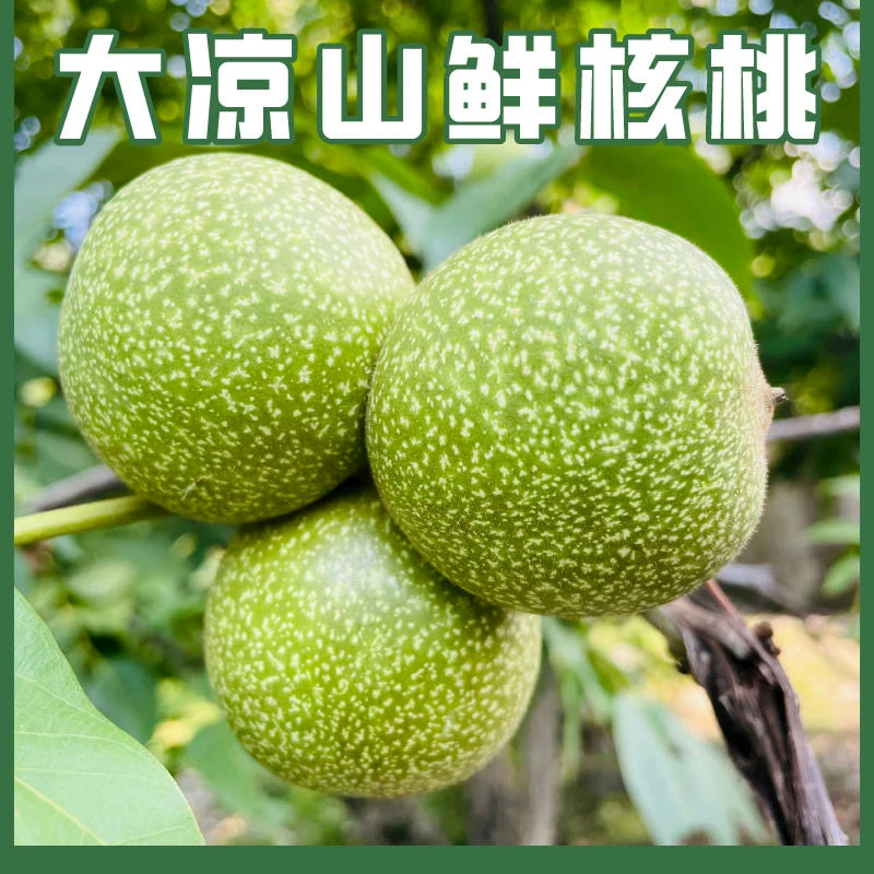 （非人工手工去青皮）大凉山鲜核桃净重3-5斤装包邮实诚买卖不售后