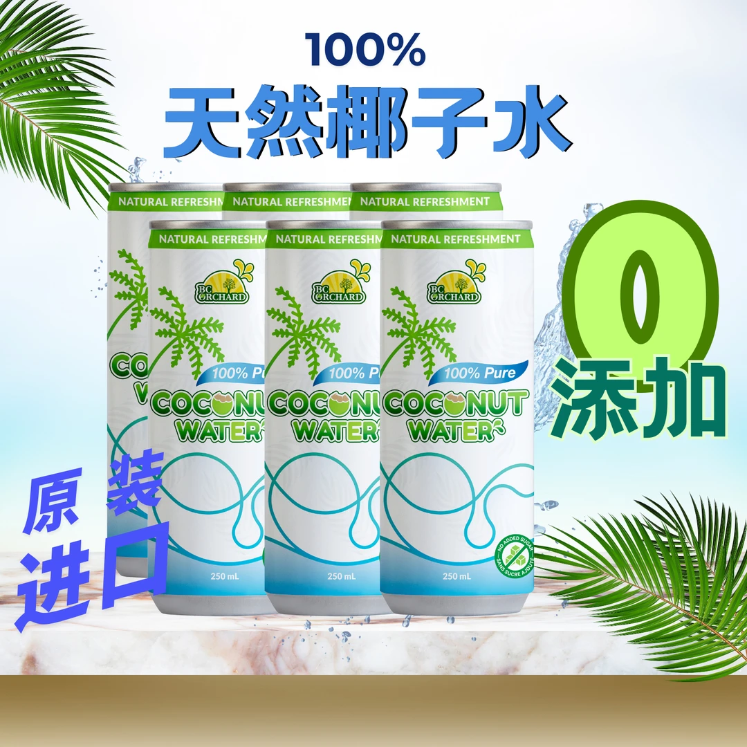 100%椰子水原装进口