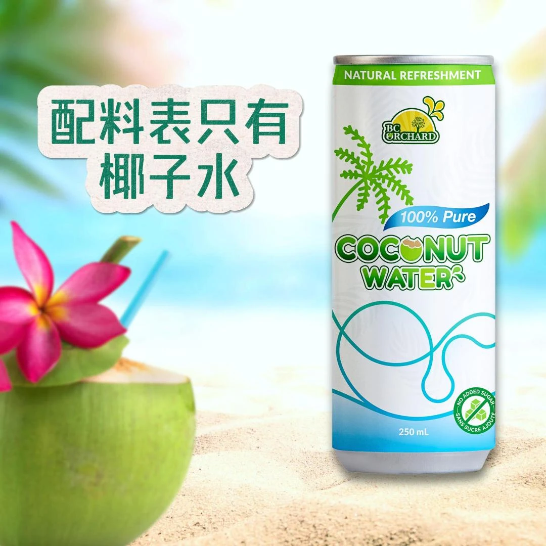 椰子水24罐250毫升西梅汁葡萄葡萄汁冷榨胡萝卜汁双柚饮料杨梅汁