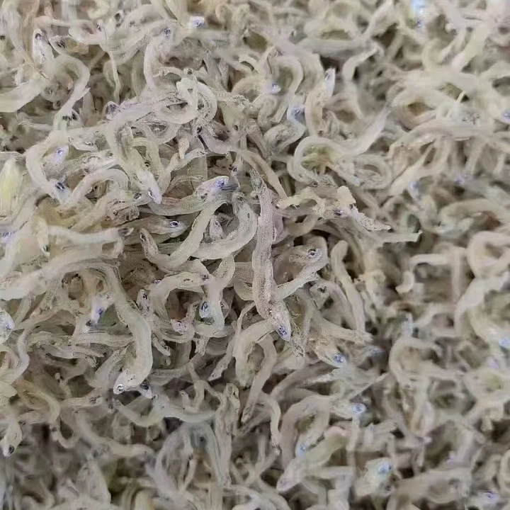 美味营养新鲜淡干生晒丁香鱼