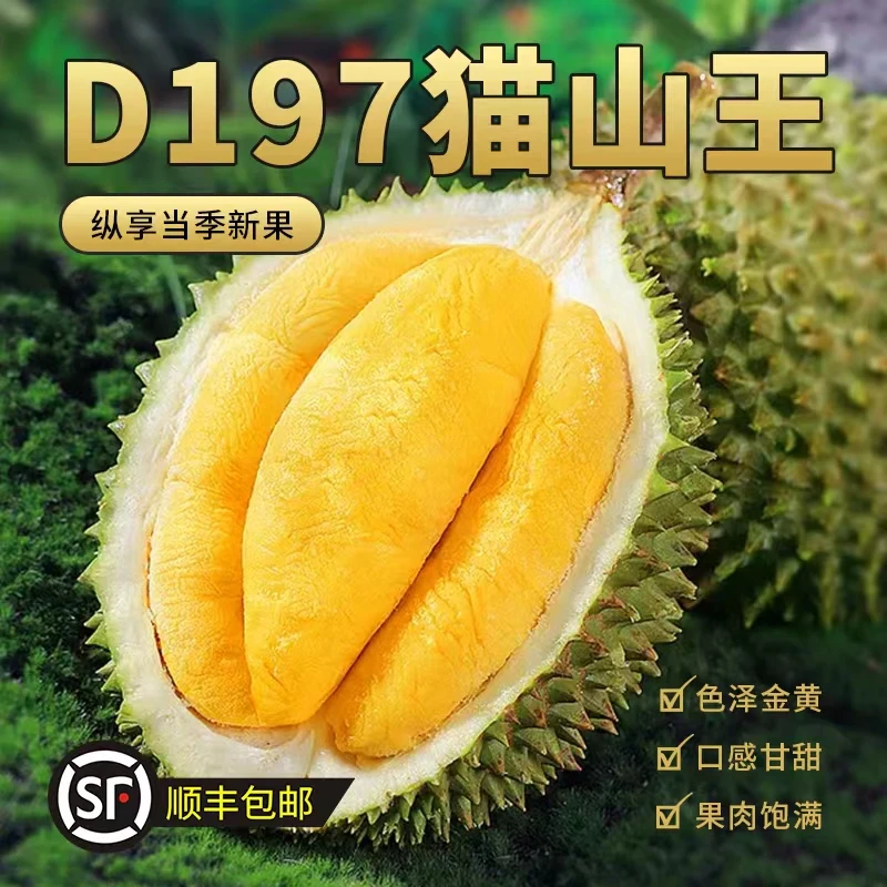 AA果!! 一物一拍专用链接 液氮锁鲜 猫山王榴莲D197
