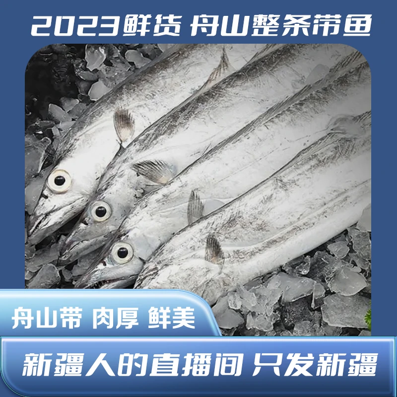 【乌市直发】4指宽2.2KG带鱼整条肉厚海捕现捞新鲜速冻鲜美鲜货美味