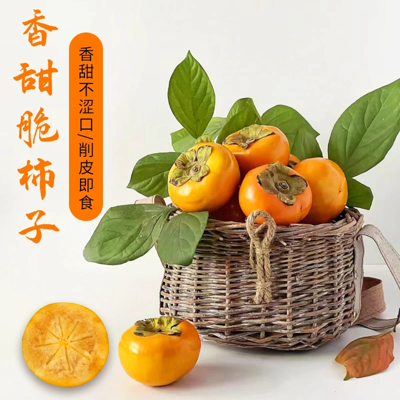 山里的柿子香甜脆柿子无核无籽柿子