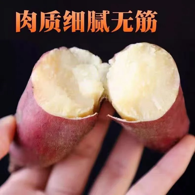 【板栗红薯】重庆沙地农村老品种新鲜自种红皮白心板栗红薯熬粥甜糯