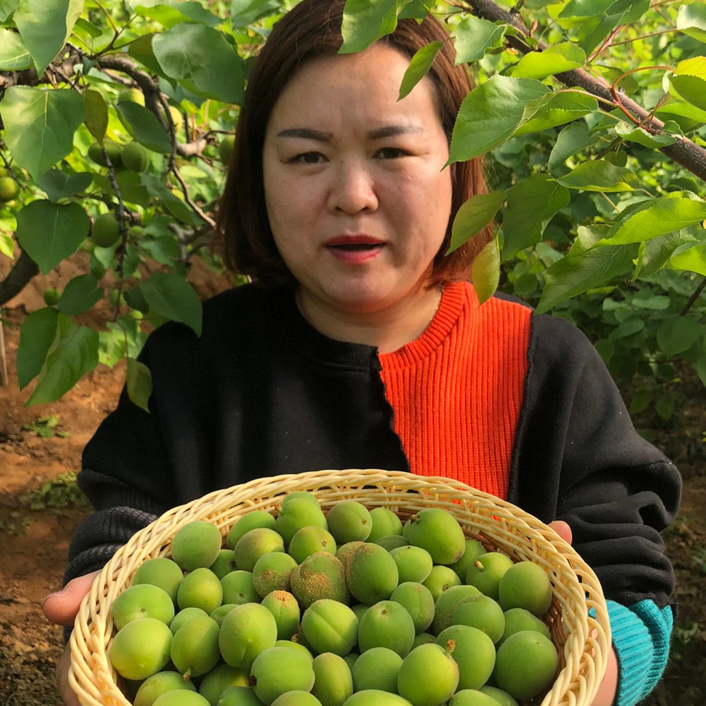 陕西软核小青杏酸中带苦（送辣椒面）不爱吃介意勿下单