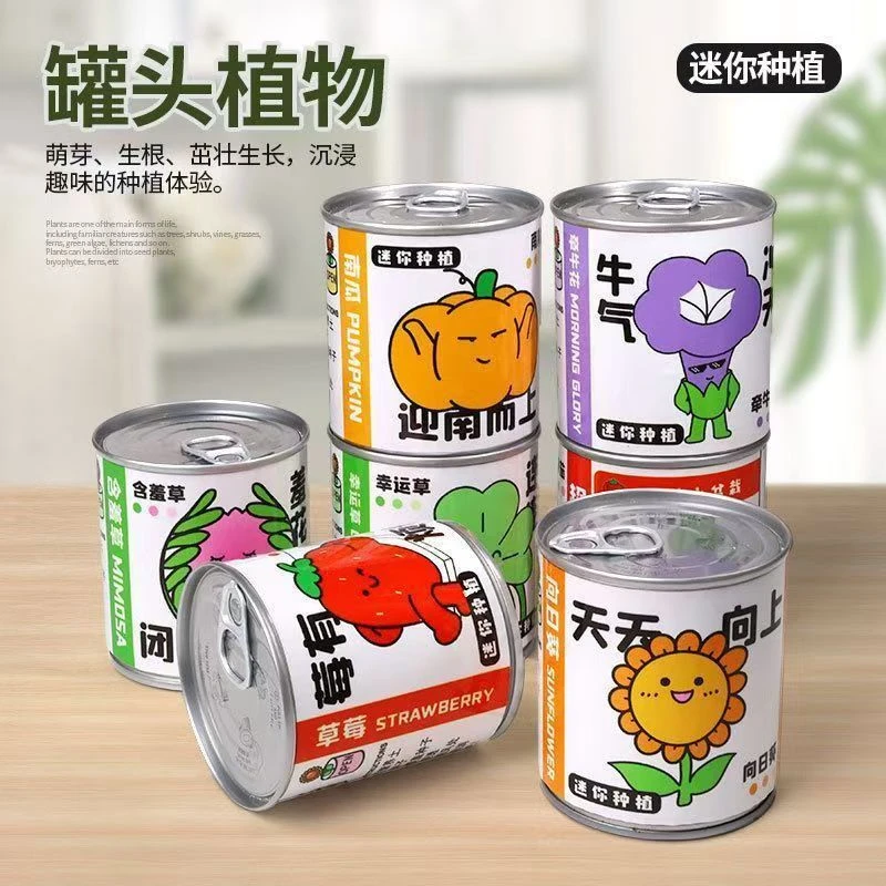 小盆栽植物绿植种子diy桌面摆件