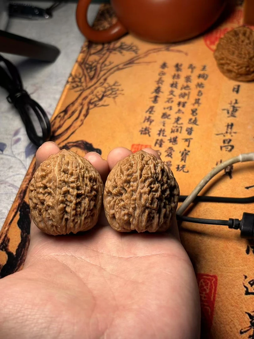 木神严选文玩核桃 高端小众优质文玩核桃 （直播间专用，勿私拍）