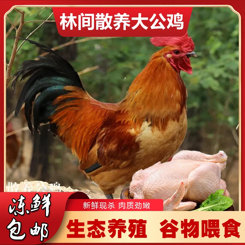 【拍1送1】农家散养大公鸡  土鸡柴鸡笨鸡 顺丰冷链 新鲜现杀鸡肉