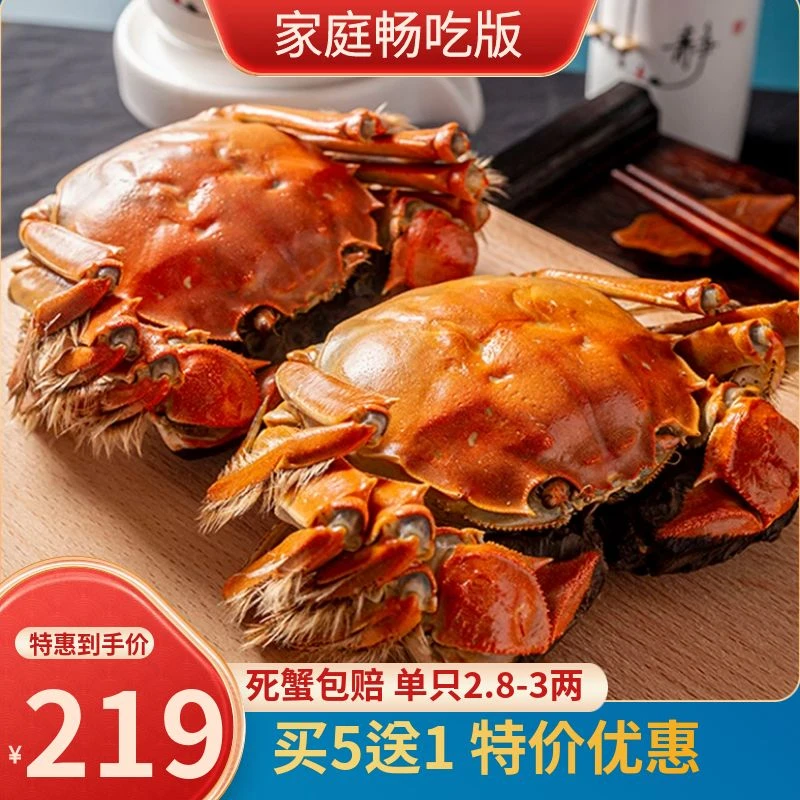 （全母） 2.8-3两左右 江苏大闸蟹鲜活买5送1
