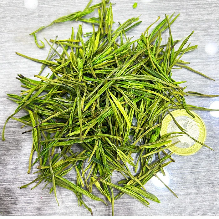 2025年新茶 B228高山白茶250/500克春茶黄金芽绿茶叶