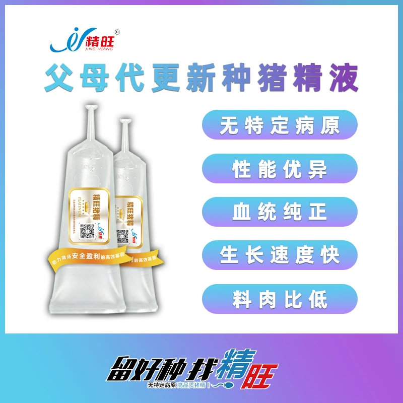 父母代更新 精旺蓝耳双阴猪精20亿（大约克/长白）直达快发