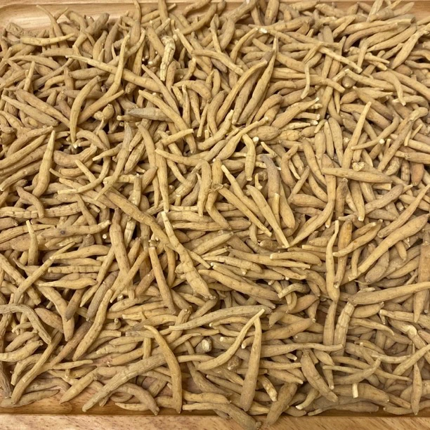 【太仔参】太仔参 精选