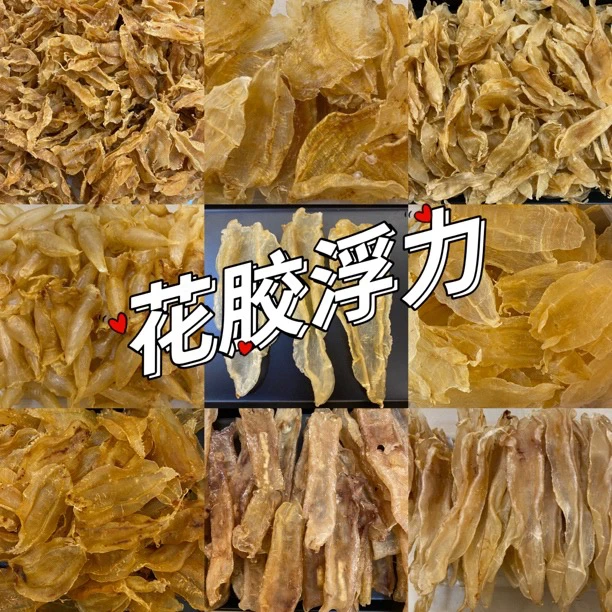 【花胶浮力】35头黄花胶
