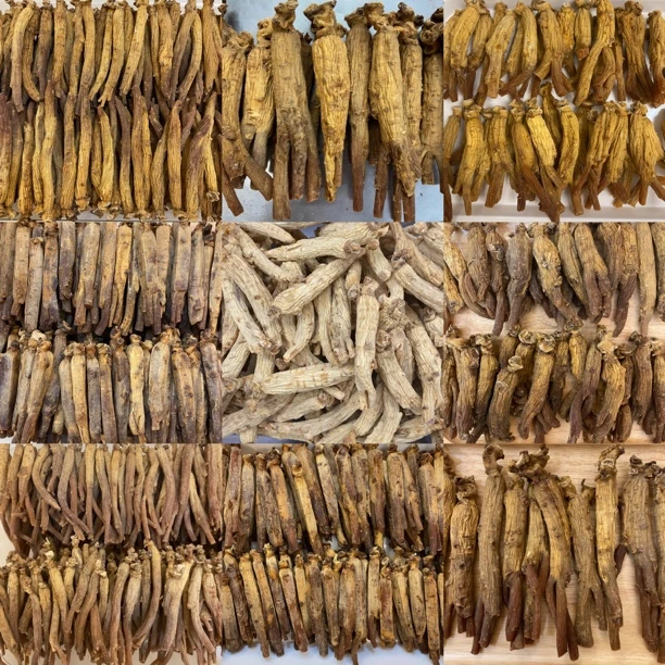 【生日专属】开成 600g15支 人参（15Y）