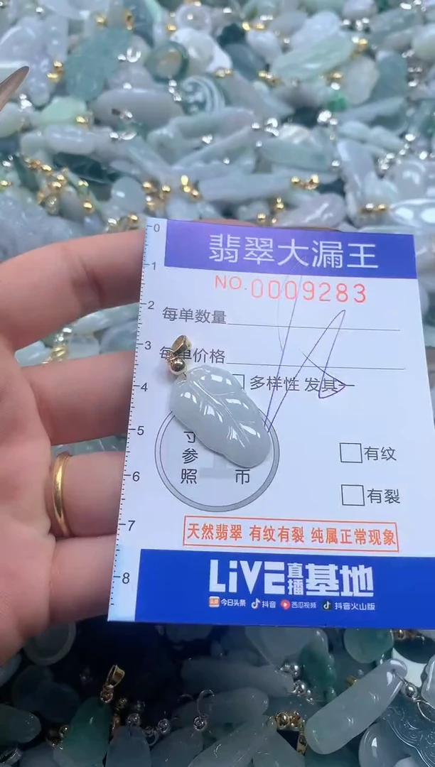 【闪购商品】翡翠吊坠(不含链)未镶嵌含绳9283
