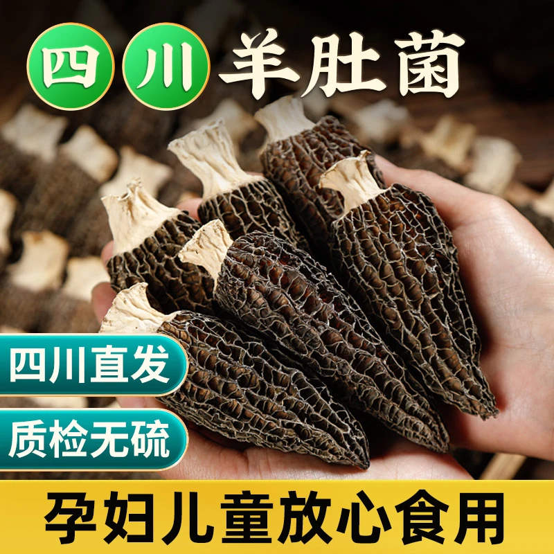 【头茬羊肚菌】无沙营养菌菇煲汤食材特产菌类精品新鲜干货