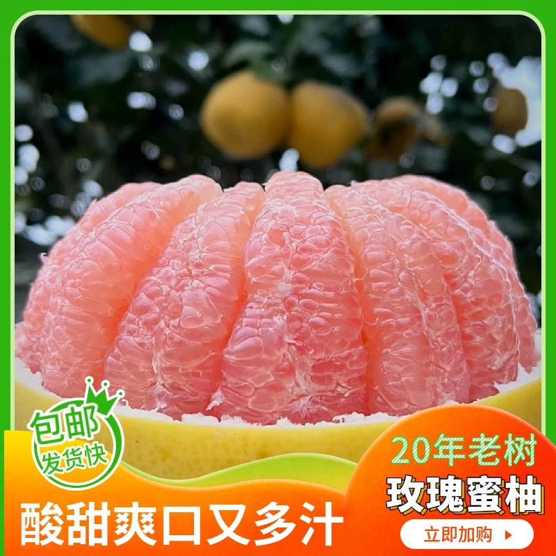 玫瑰蜜柚新鲜现摘重庆产地当季水果柚子酸甜多汁红肉蜜柚琯溪蜜柚