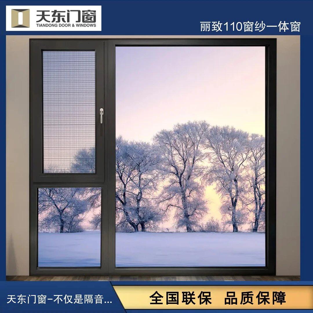 丽致110窗纱一体窗 天东门窗 静音系统门窗 免费测量设计意向金
