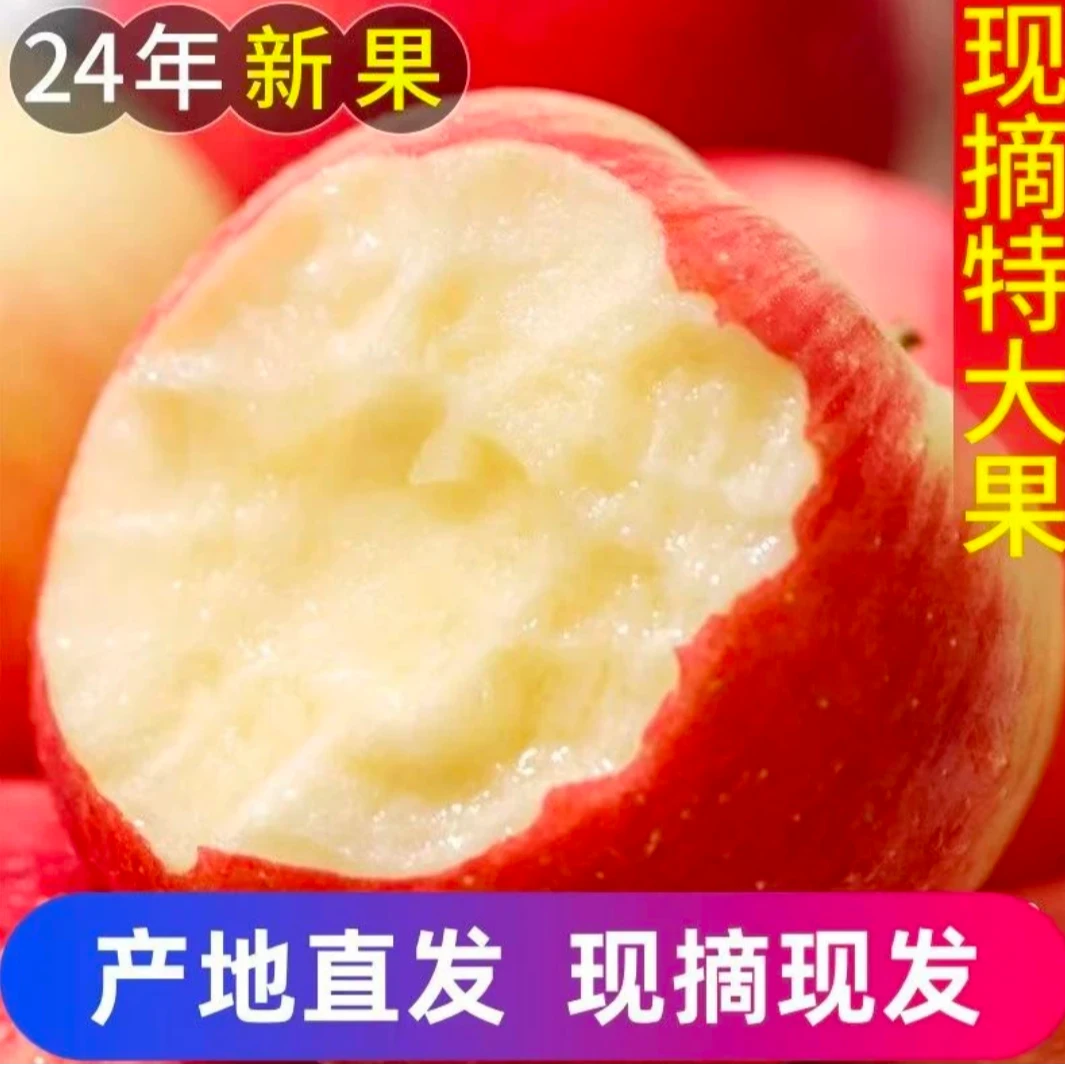 新鲜当季苹果五斤装
