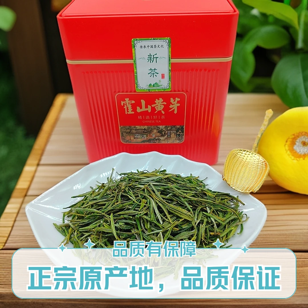 黄茶霍山县黄芽本地产区一级黄茶高山黄芽50g罐装