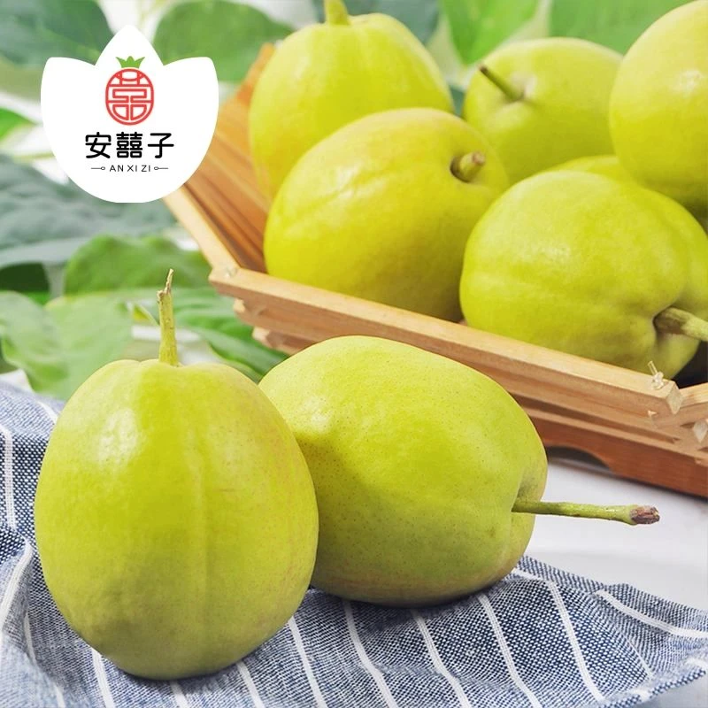 【整果】新疆库尔勒香梨（脆甜多汁）