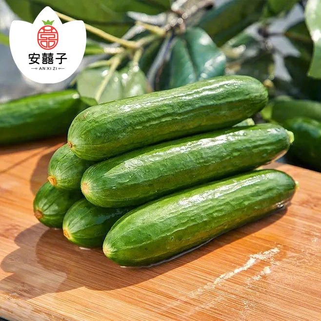 【低卡】水果黄瓜（想吃就吃）2根约220g黄瓜同城送黄瓜同城配