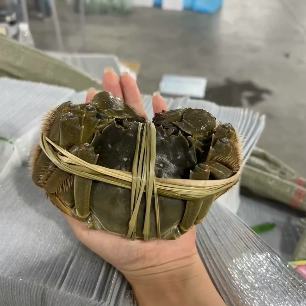 【东胜同城】江苏大闸蟹1.5-1.8母（2只）