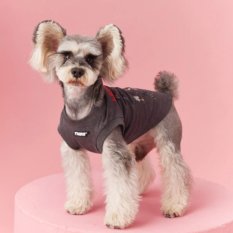 汤尼熊小狗狗夏季薄款衣服雪纳瑞泰迪比熊博美约克夏猫咪无袖背心