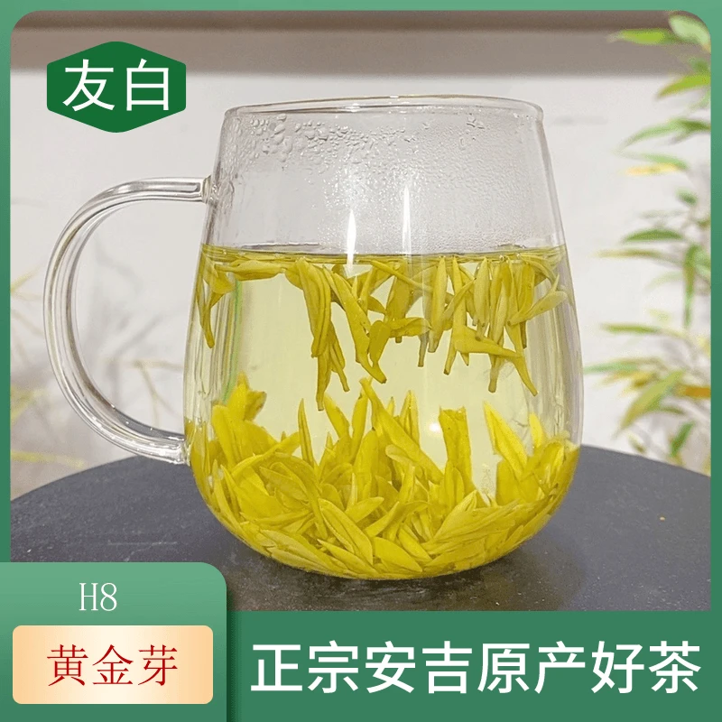 【H8友白黄金芽 爆米花香】2025年新茶，头春头采 正宗原产地黄茶