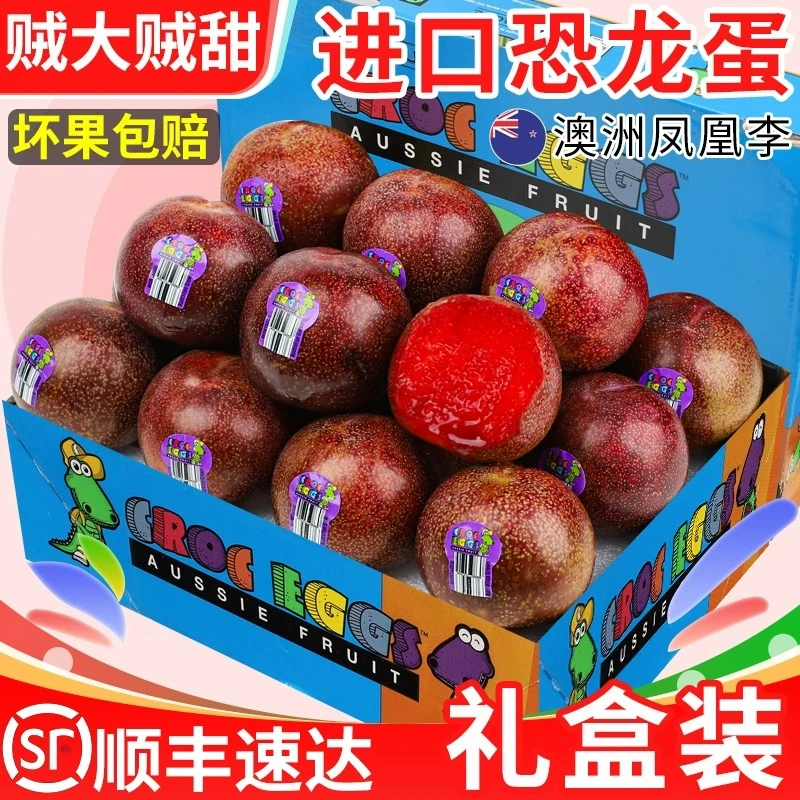 澳洲凤凰李新鲜恐龙蛋李子1-5斤当季孕妇水果坏果包赔 发货顺丰