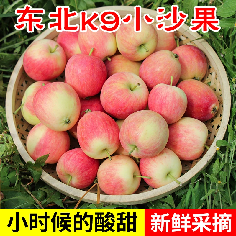 东北K9小沙果5斤新鲜海棠小苹果酸甜应季水果1/3斤