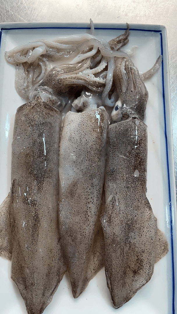 福建新鲜大管 顺丰包邮到家