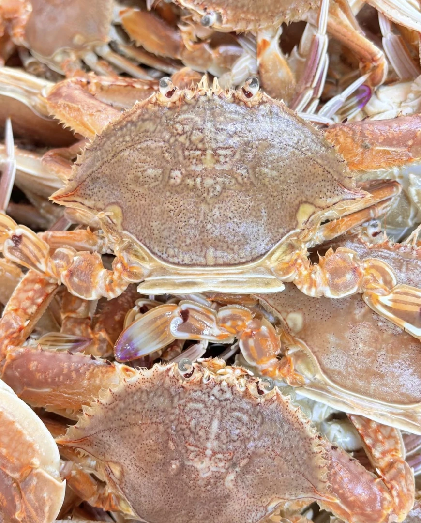 肉蟹 /扁蟹  福建厦门 顺丰包鲜到家