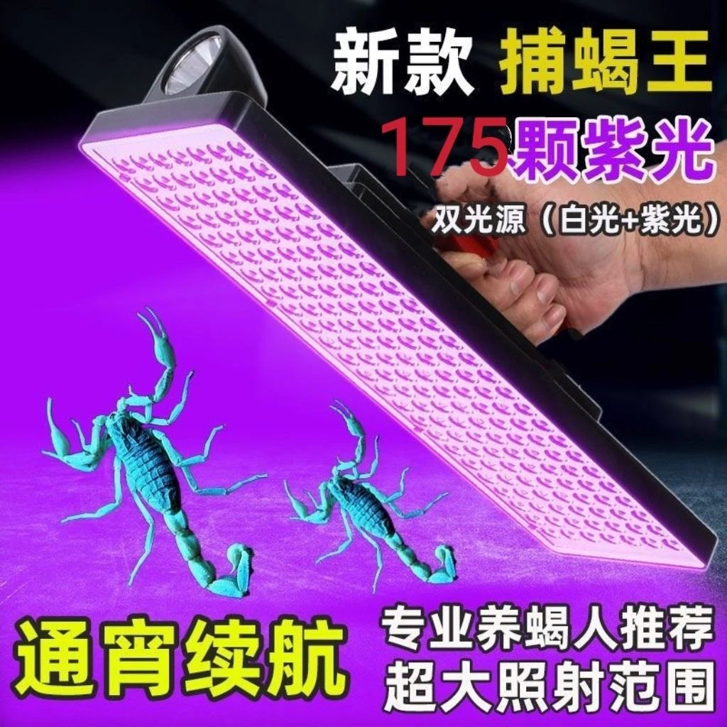 最新款蝎子灯紫光led超亮灯珠专业捕蝎灯捉豆虫175颗进口紫光灯珠
