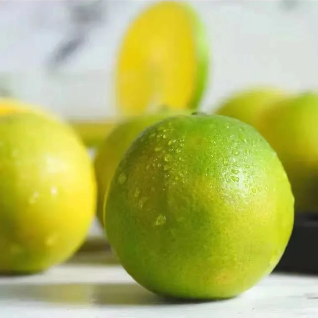 【现摘现发】海南黎族苗族正宗琼中绿橙5斤10斤果园鲜果直发