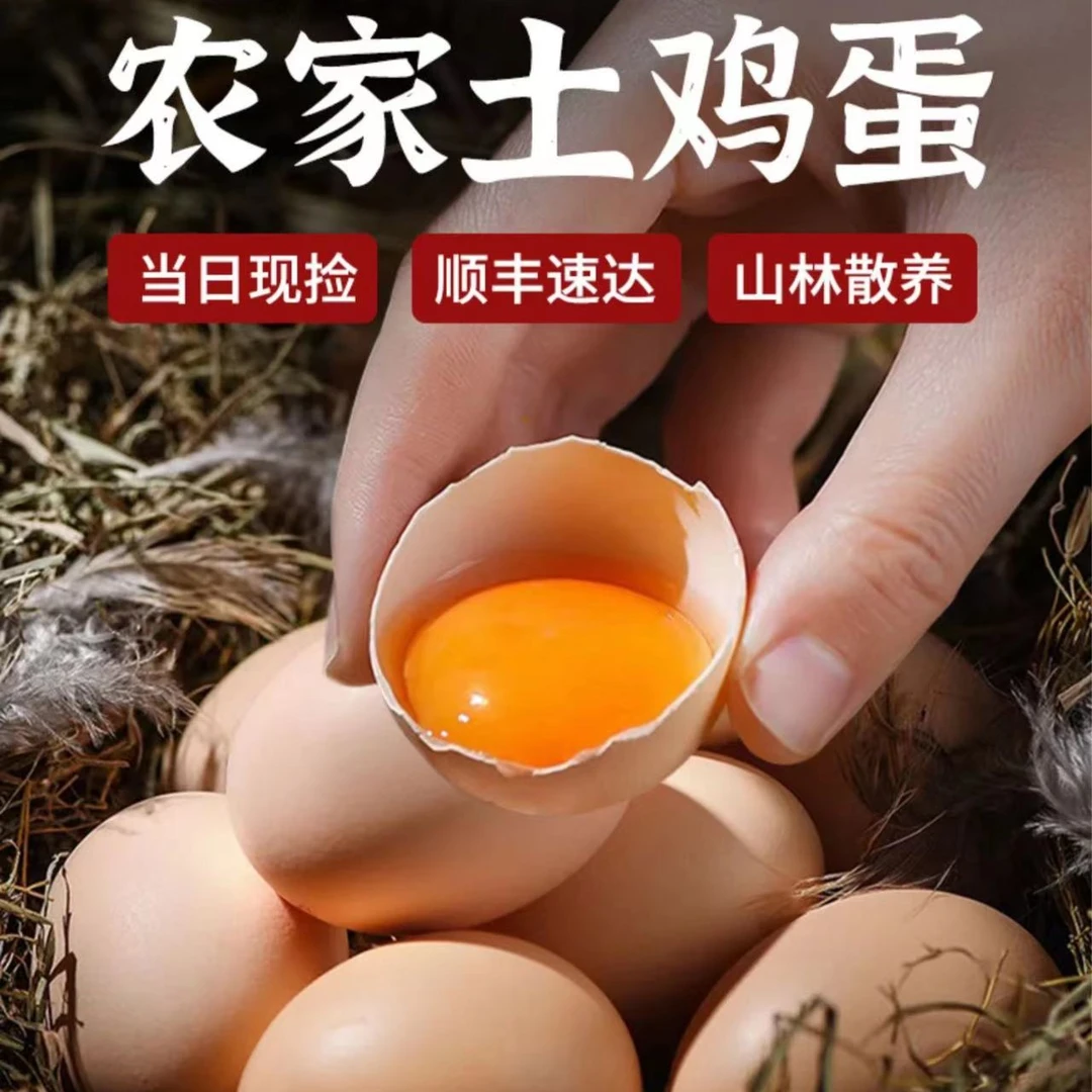 农场 当日现捡 五谷喂养 林下散养 土鸡蛋新鲜