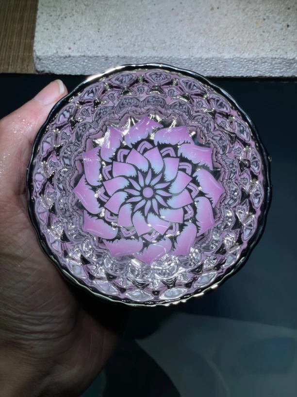 冰清玉洁粉莲花8