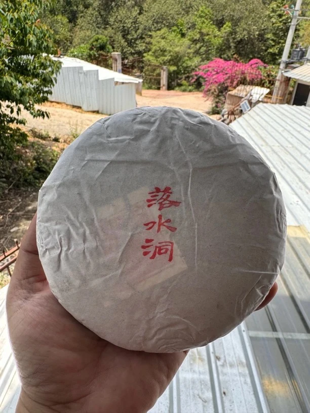 2023头春《落水洞》生普200克/饼