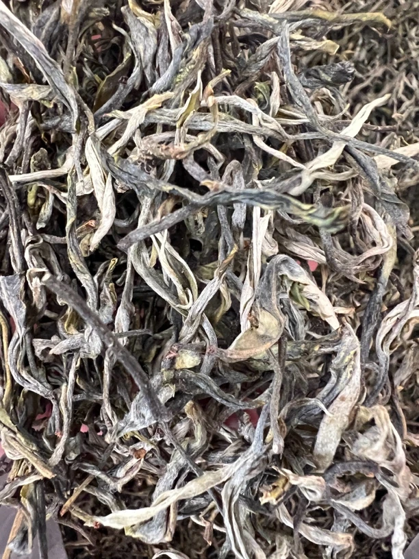 2024早春兰花香 《班盆老树》普洱生茶100克装