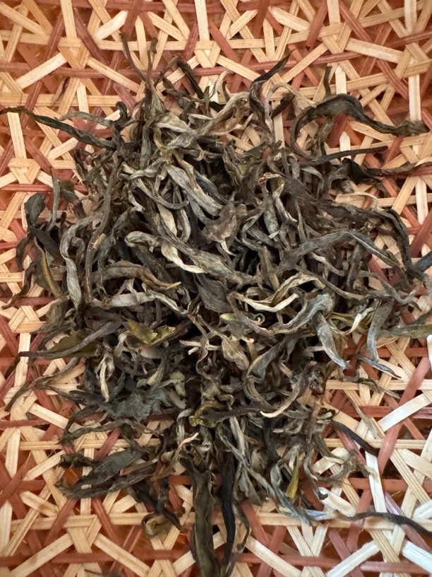 2025《曼松王子山小高杆春茶》100克