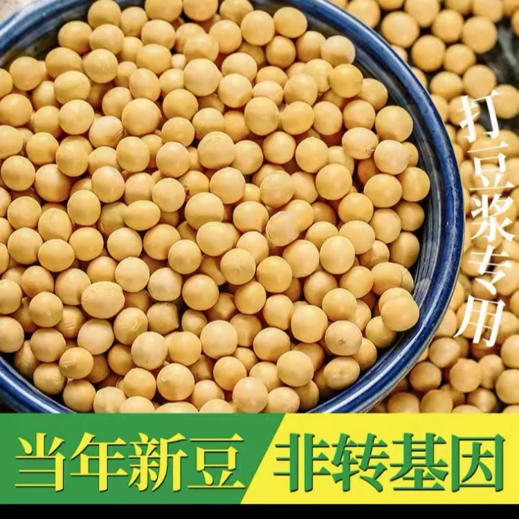 【扎扎朵廖书记助农】张家界农户自种豆类