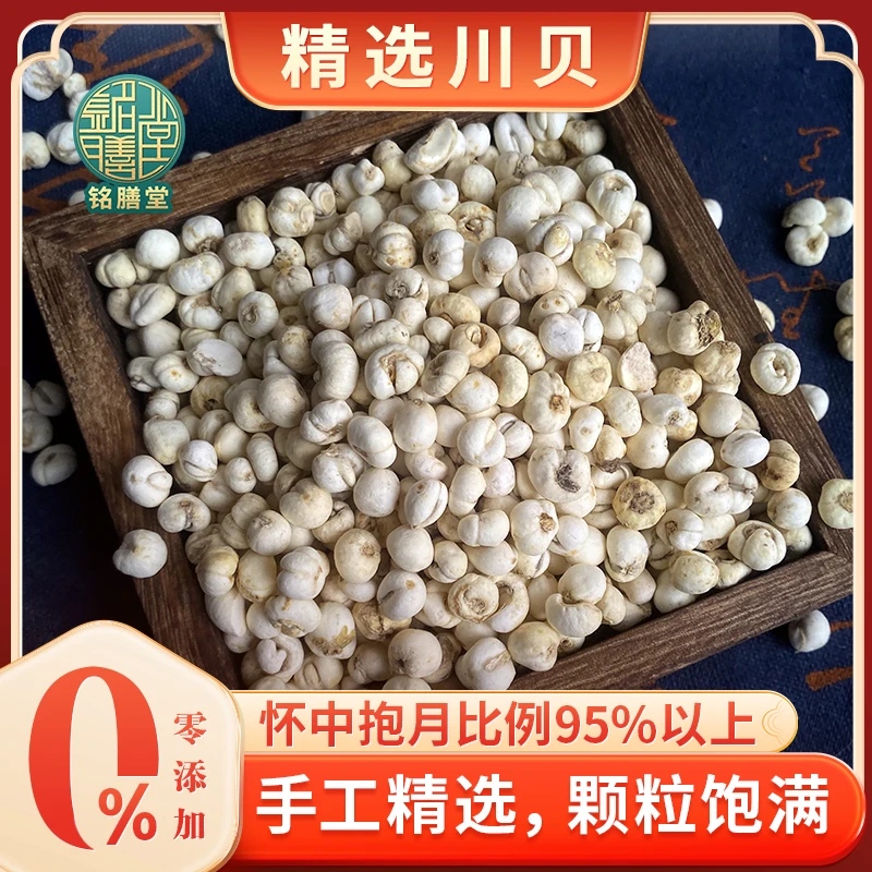 【康德】怀中抱月川贝无硫可搭配虎乳菌儿童老人咳咳煲汤煮水中药材