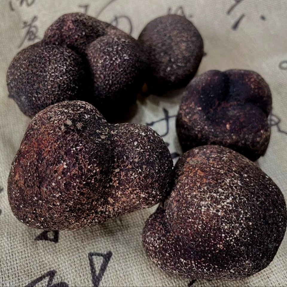 新鲜松露 黑松露 云南松露 茶色松露 高级料理美食分享